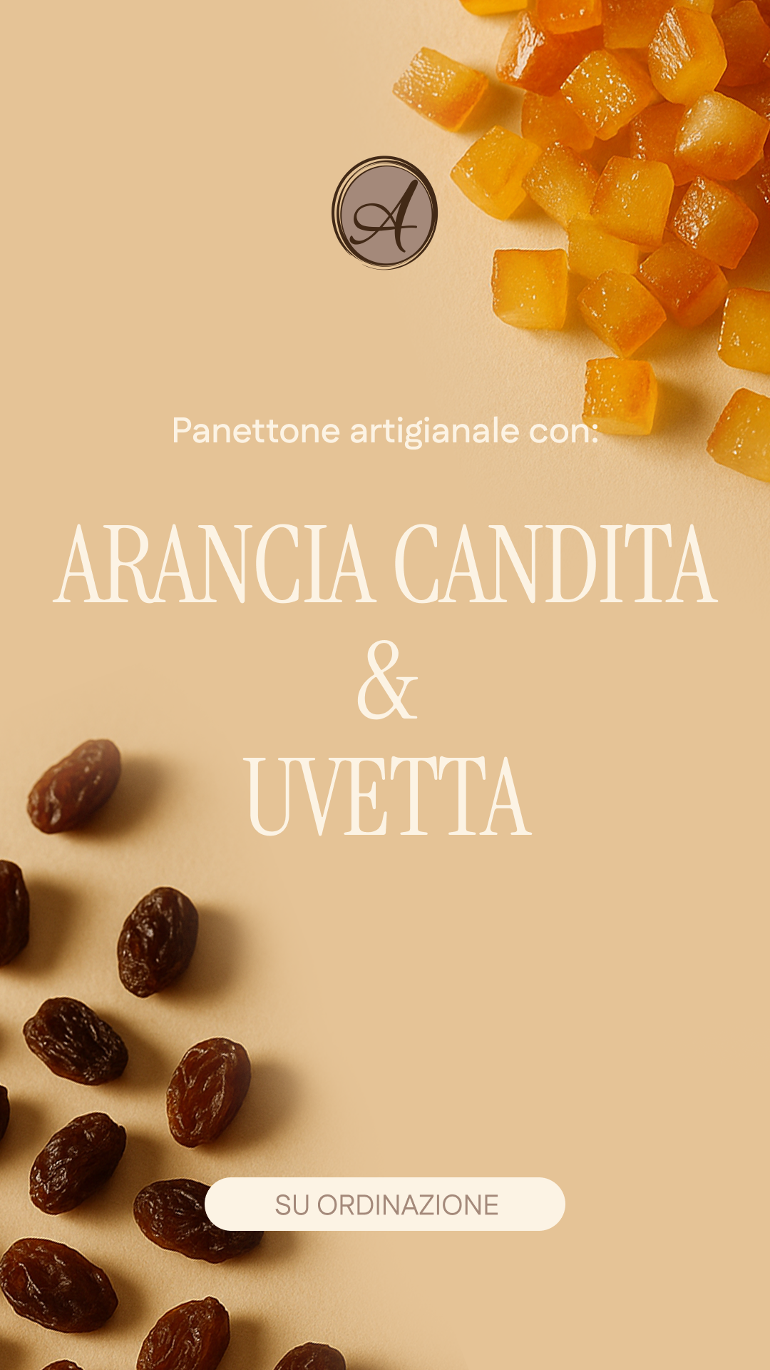 panettoni arancia candita ed uvetta a Piove di Sacco