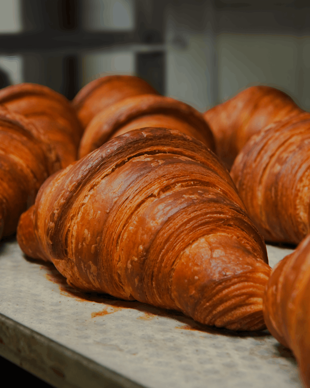 Brioches fresche Padova e Provincia