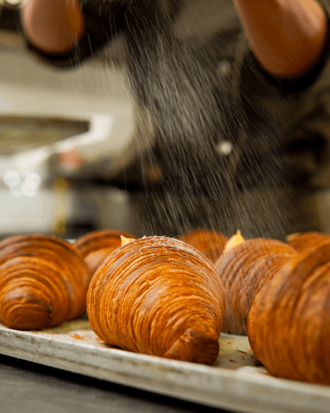 Migliori panifici e pasticcerie a Piove di Sacco