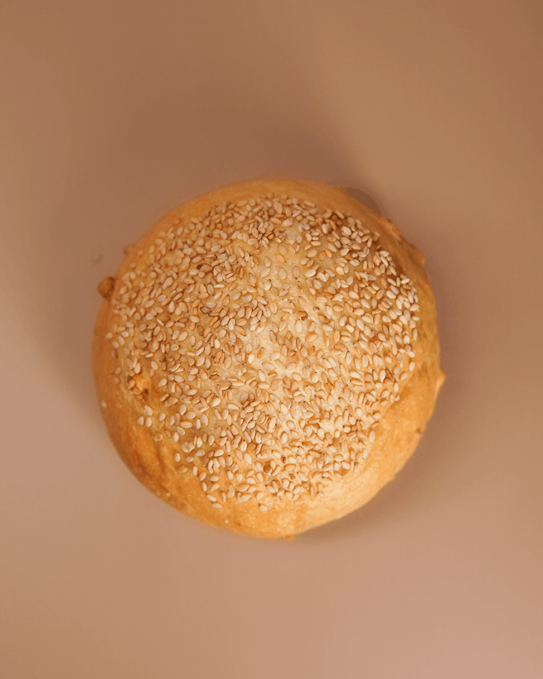 Pane da Hamburger artigianale a Piove di Sacco
