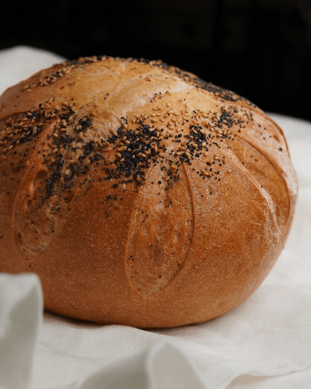 Pane per asporto - Panifici a Piove di Sacco