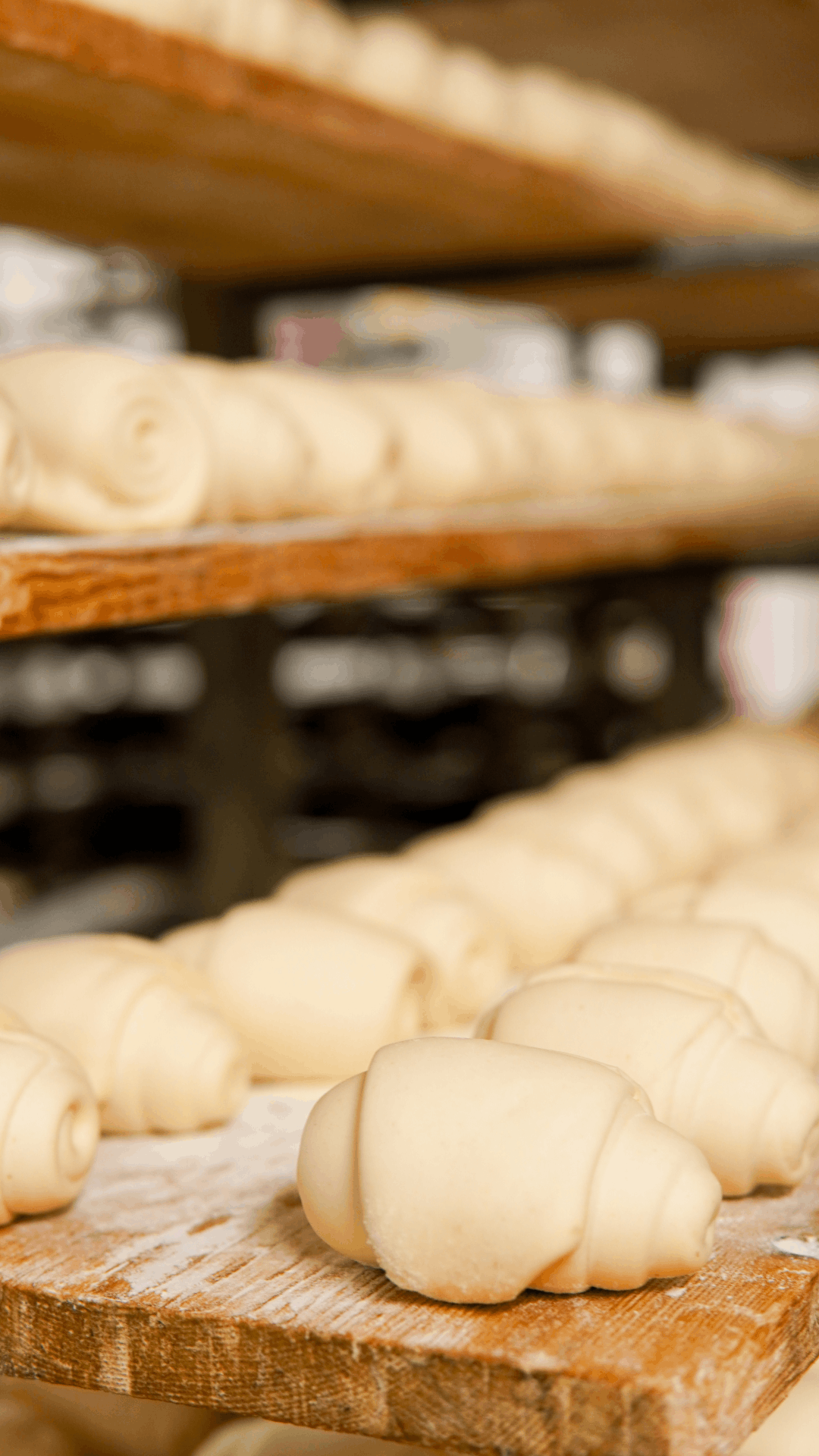 Preparazione pane e lievitati a Piove di Sacco