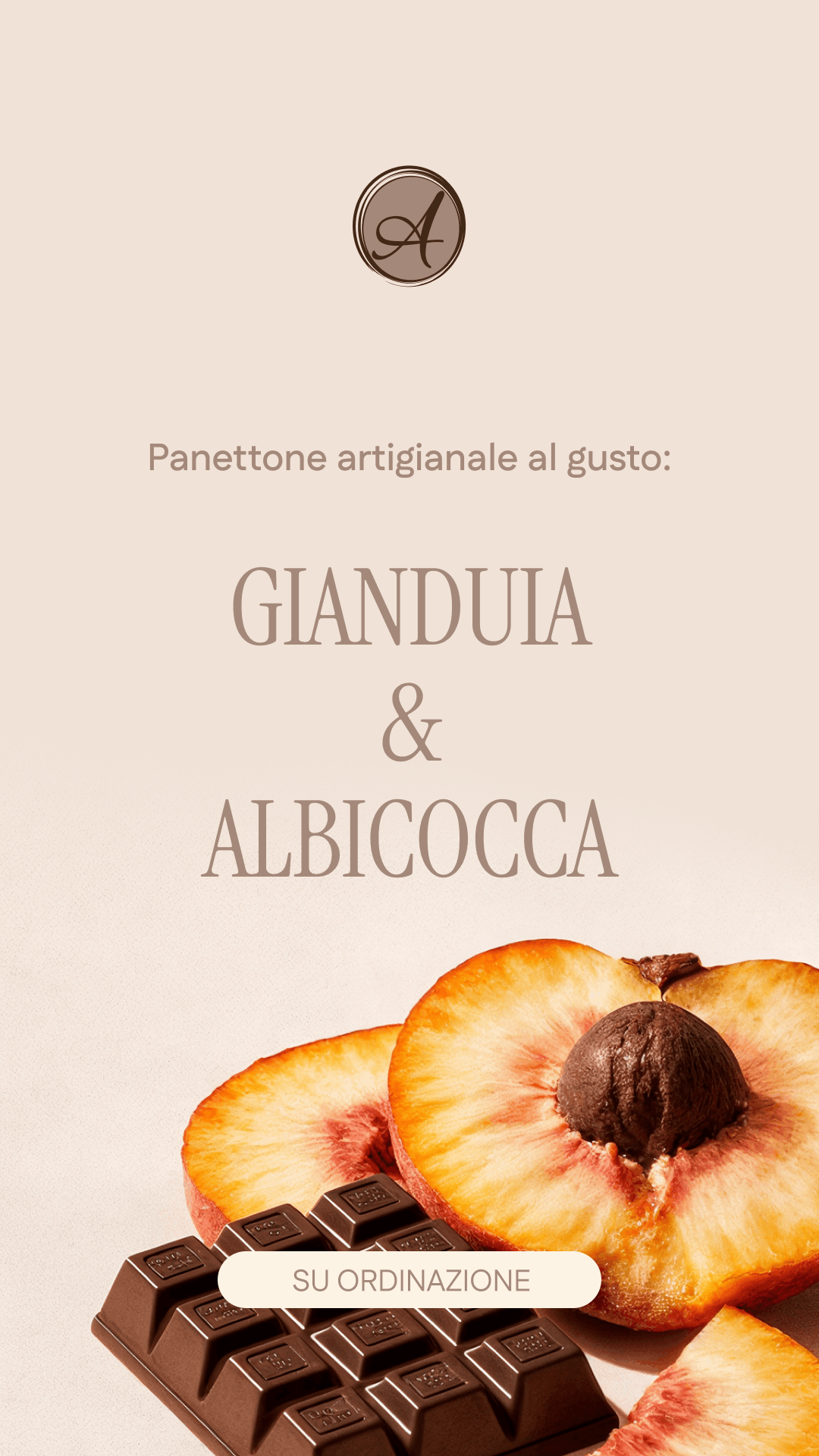 panettoni alla gianduia e albicocca artigianali.